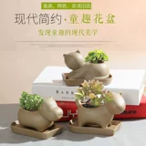 陶馨语 Креативный милый керамический цветочный горшок, простой и элегантный дизайн