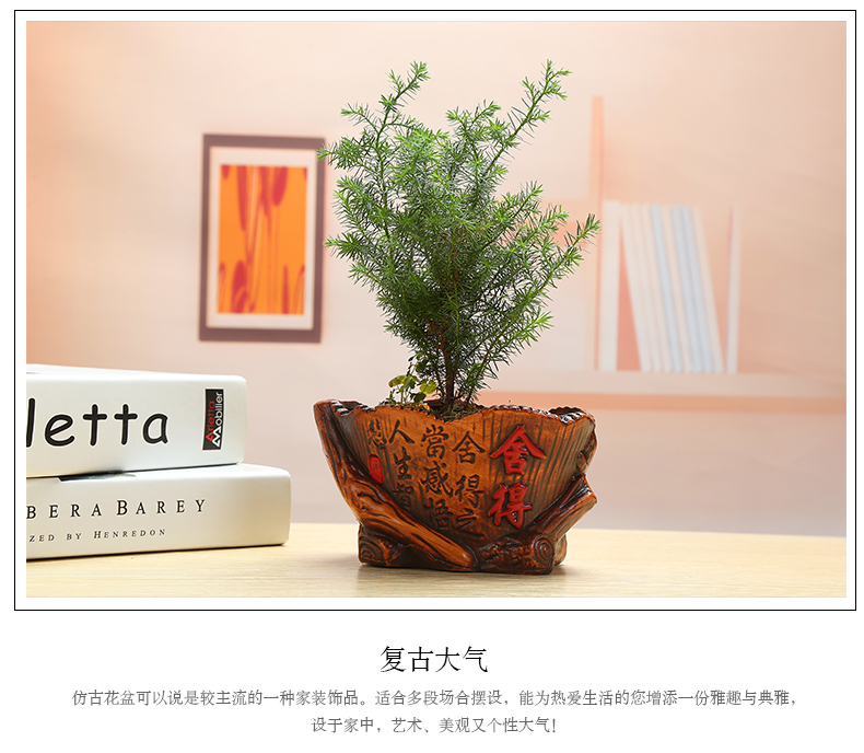 Cây phong phú châu Âu retro cây bạch đàn gốm chậu hoa Wenzhu cây xanh nhỏ trong chậu hoa cây cảnh trang trí hoa - Trang trí nội thất tiệm đồ dcor