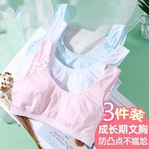 Girls Bra Summer Thin Development Adolescent Primary School Junior High School High School Lingerie Female Childrens Little Vest