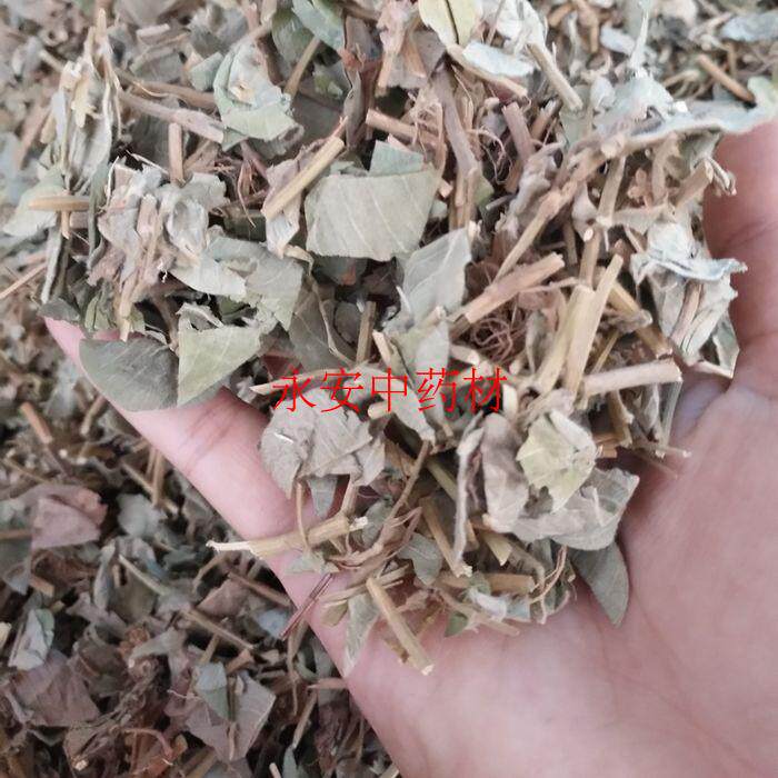 Qiancao Guangqiancao Chinese herbal medicine wild Qiancao stone tea large leaf Qiancao dry product 500g