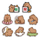 Get rich capybara capibara acrylic refrigerator magnet creative fun new transparent cute magnetic patch