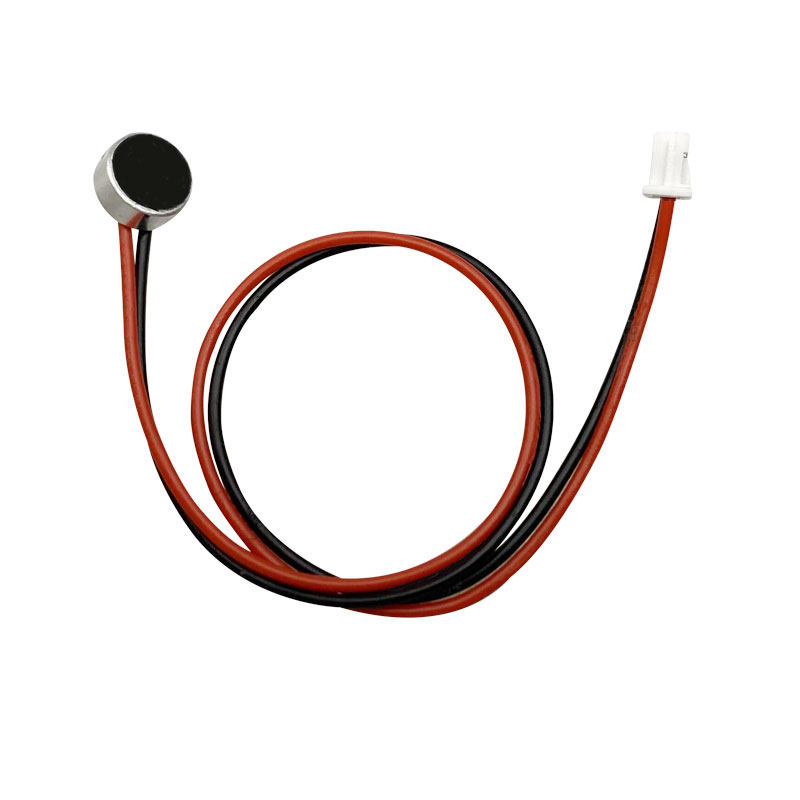 Surveillance Network High-Definition Camera with Built-In Passive Pickup Microphone for Sound Capture, Compatible with Major Brands