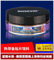 American Bainmei Patch Feed Tropical Small Fish Patch Feed Rat Fish Alien Guppies Patch Feed