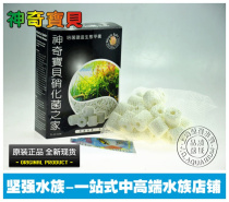 Taiwan Pokémon Nitrifying Bacteria Home Fine Type 600ML Ceramic Respiratory Ring