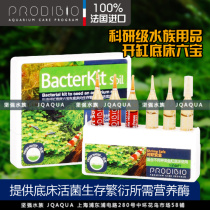 Cody PRODIBIO BacterKit Soil active bottom bed open cylinder six treasure to create new cylinder vitality bottom bed
