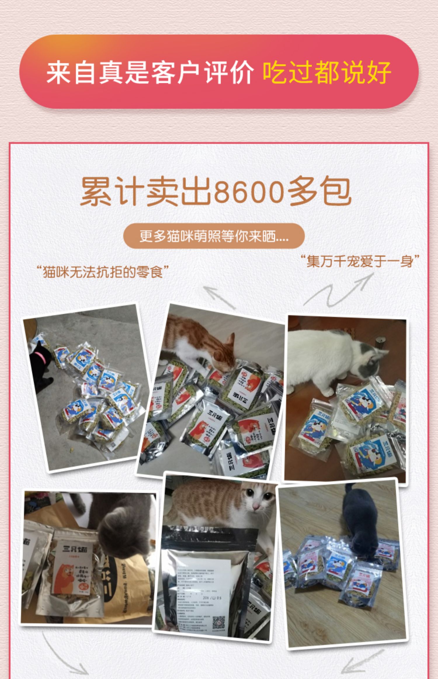 Mèo ăn vặt Mèo mèo ăn vặt Cá khô Mèo khô vỗ béo Mèo Cookies Đi Hairball 100g - Đồ ăn nhẹ cho mèo thức ăn thú cưng
