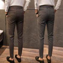 Mens pants spring and autumn 2021 new Korean version of the trend casual trousers slim small feet British nine-point suit pants