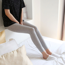 Foreign trade gray cotton leggings ladies summer spring and autumn thin wear autumn pants elastic nine points plus size 200kg