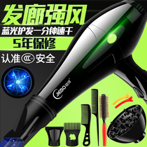 Hair hair dryer household high-power hair dryer barber shop blower negative ion hair care constant temperature hot and cold air duct