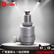 Qigao 304 stainless steel external threaded HVAC exhaust valve automatic bleed valve 4 minutes 6 minutes DN25