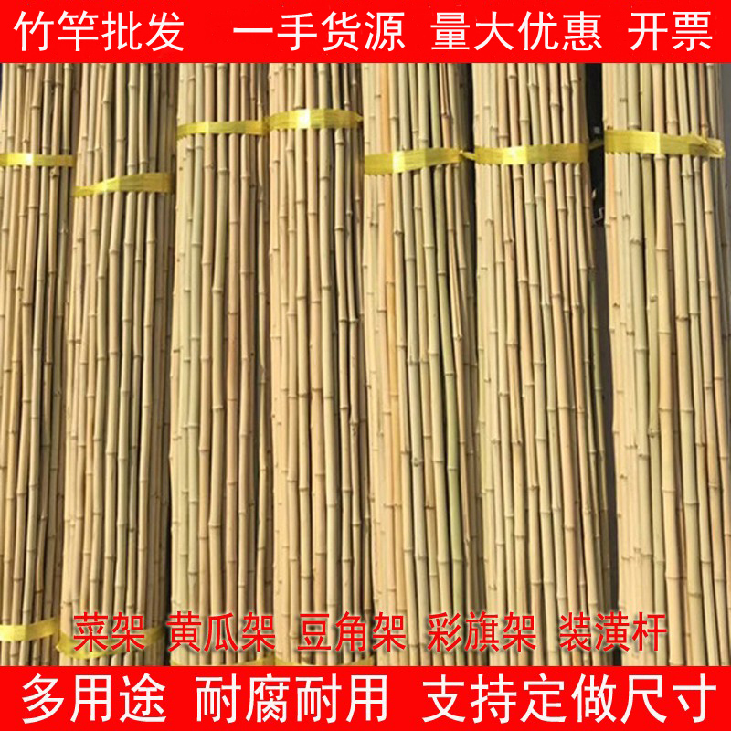 Bamboo Poles for Vegetable Gardens, Supports for Vegetables, Cucumber, Tomato, and Beans; Bamboo Fences, Small Bamboo Poles, Fine Bamboo Poles, Climbing Trellis Bamboo Poles for Vegetable Gardens, Supports for Vegetables, Cucumber, Tomato, and Beans; Bamboo Fences, Small Bamboo Poles, Fine Bamboo Poles, Climbing Trellis