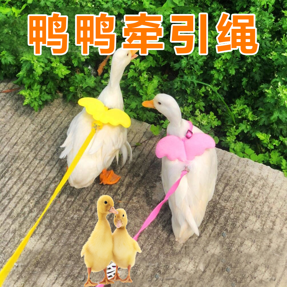 Cole duck traction rope walking duck rope rope chicken rope rope rope