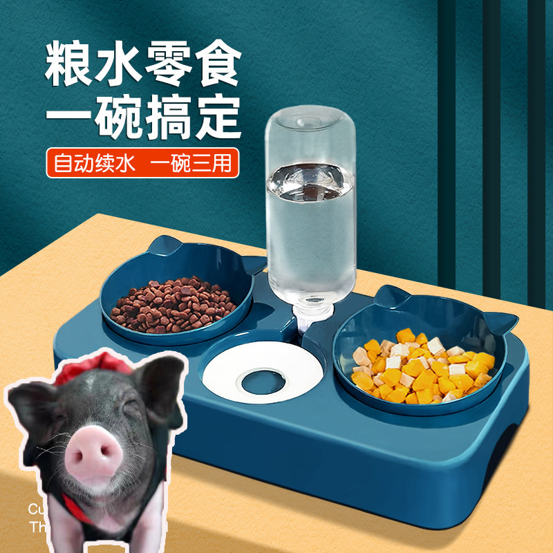 Small fragrant pig feeding machine Drinking water Pet Piglet Exclusive Food Basin Rice Bowl feed Water Thailand Mini Fragrant Pig Supplies
