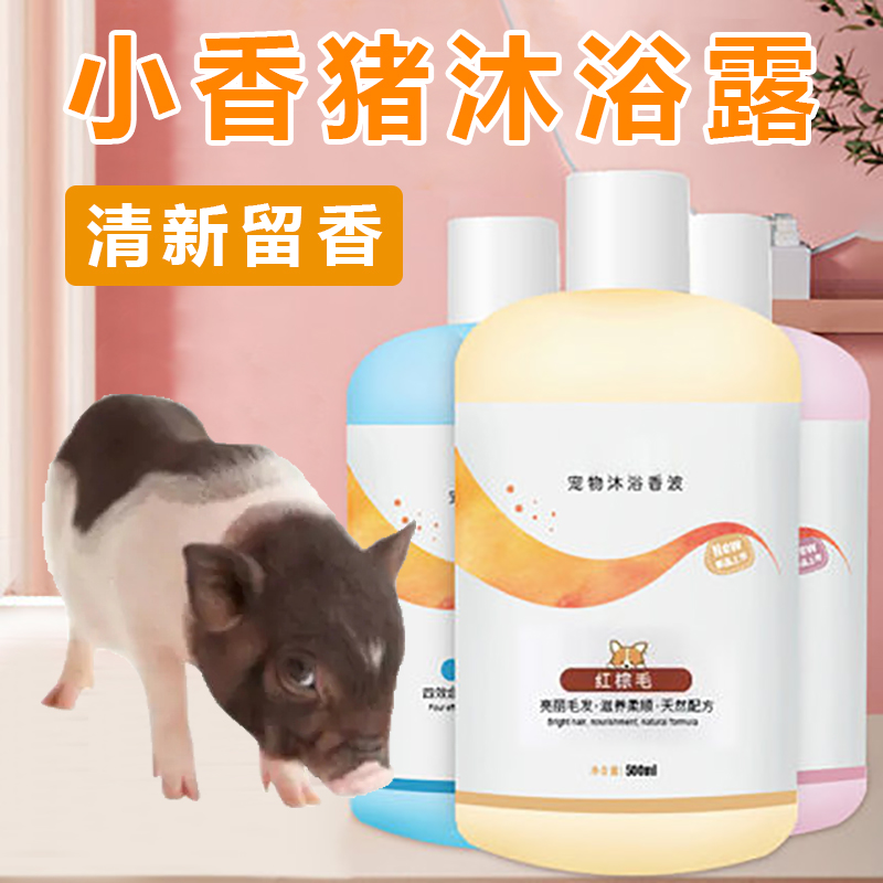 Small fragrant pig body lotion for bath and deodorant to taste special germicidal pet Thai mini-pig small parsley pig supplies