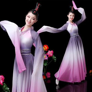 Women chinese folk water sleeve dance costume classical Chinese style pink ink adult Hanfu performance Costume