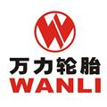 万力轮胎正品专门店的LOGO
