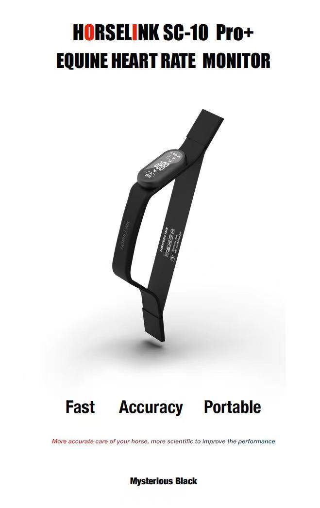 Equestrian Heart Rate Monitor Endurance Racing E-wise Smartphone Bluetooth Rider Barrier Handheld Speed Outdoor Sport