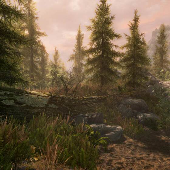 The Elder Scrolls V: Skyrim Special Edition Steam Offline Game Sharing Account the Elder Scrolls V