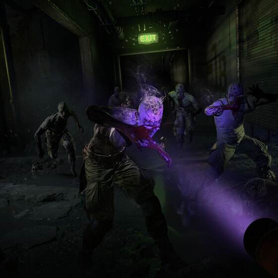 Dying Light 2 steam offline stand-alone game sharing account Dying Light 2 Reloaded