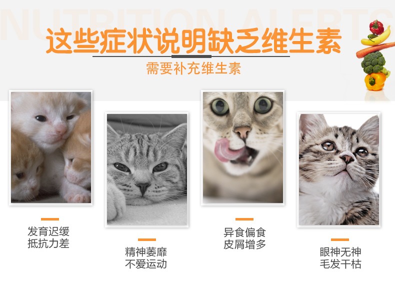 Mèo Med với vitamin tổng hợp thú cưng mèo con mèo dinh dưỡng lông taurine mèo vitamin b mèo liếm - Cat / Dog Health bổ sung Sữa cho chó con giá rẻ
