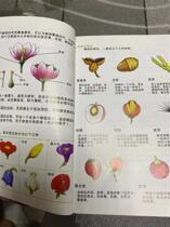 Inventory 06-year wild edible plant animal identification contrasted manual collection Picnic Drawings Recognition