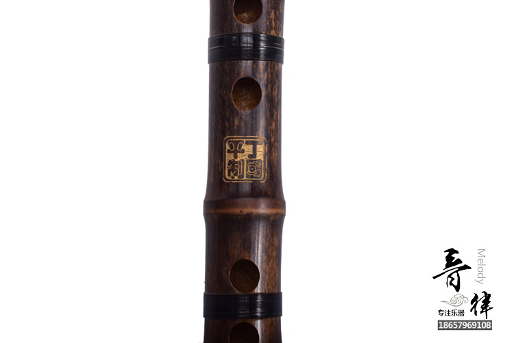 Zizhu hai sáo sáo Đinh Guoping tre tốt sáo trẻ em người lớn mới bắt đầu nhạc cụ quốc gia GFEDC cổ cầm và đàn tranh