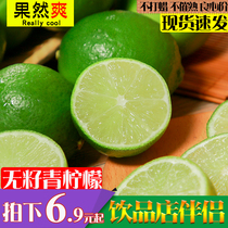 5 pounds of seedless green lemons fresh thin-skinned and juicy fruits freshly picked first-grade small limes kumquats perfumed green lemons
