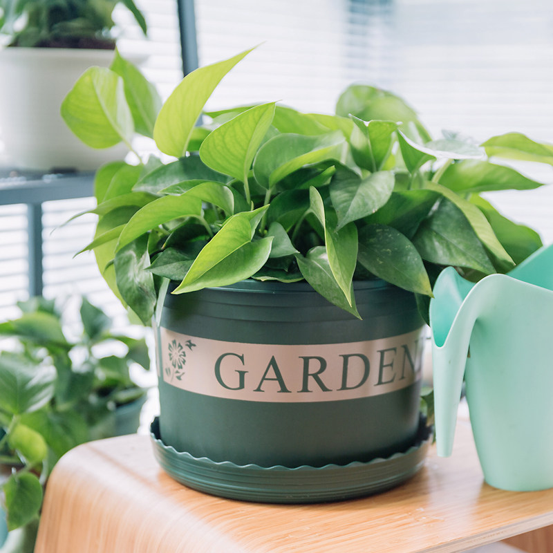 Gallon flowerpot clearance resin plastic indoor fleshy golden flower pot round size balcony flower pot