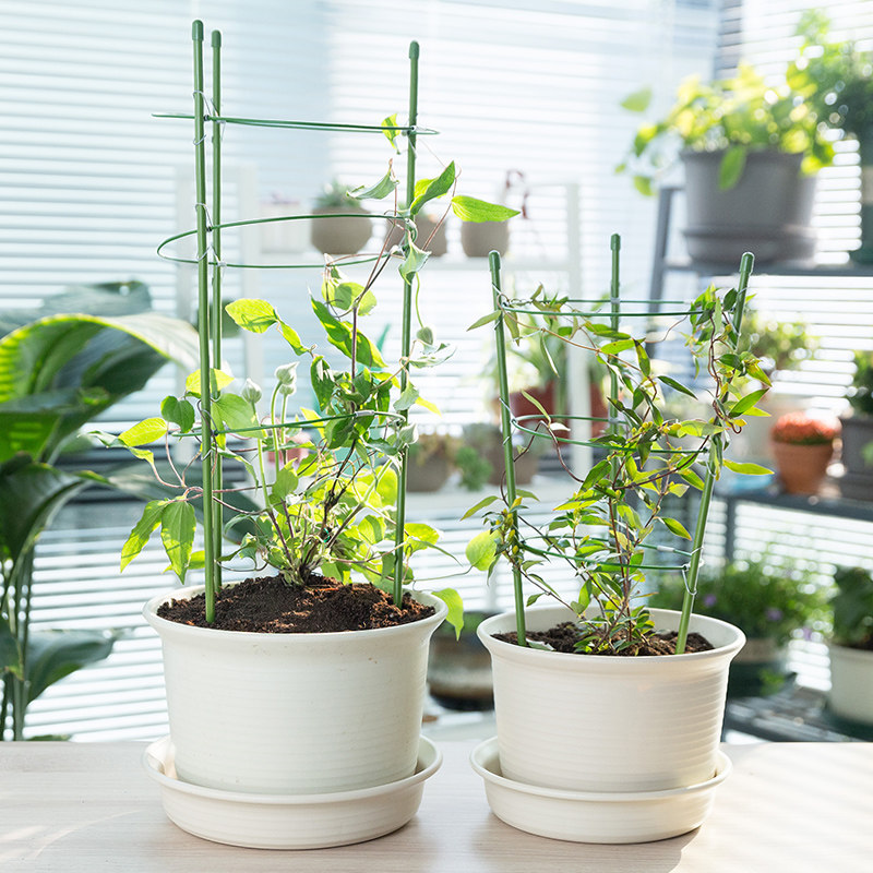 Flower Rattan Climbing Rack Clematis Climbing Rack Chinese Rose Bracket Gardening Garden Outdoor Green Plant Flower Telescopic Rod