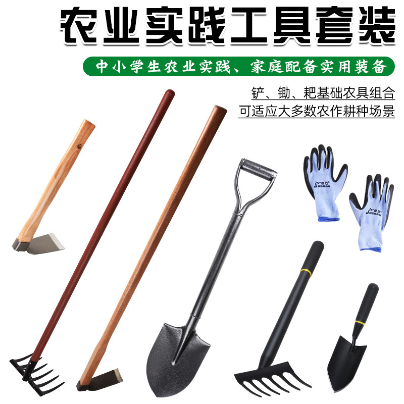 农用工具种植套装铁锹锄头铲子农业实践学生教育劳动大全家用种菜