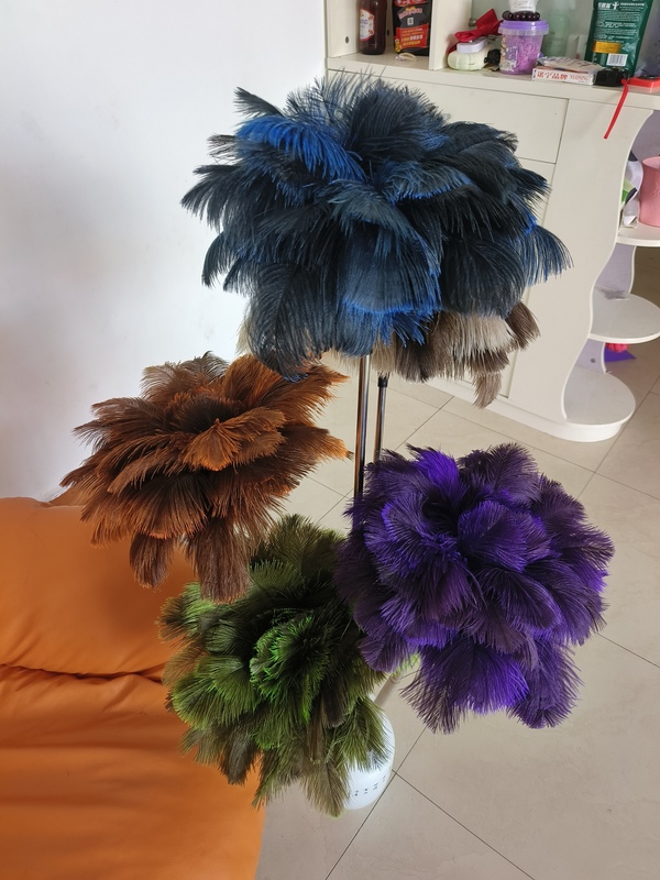 Selected Feathers 2m Retractable Thickened Soft Feather Duster for Home Use, for Sweeping Dust and as a Decorative Item, Ostrich Feather Duster, Dust Removal Tool Selected Feathers 2m Retractable Thickened Soft Feather Duster for Home Use, for Sweeping Dust and as a Decorative Item, Ostrich Feather Duster, Dust Removal Tool