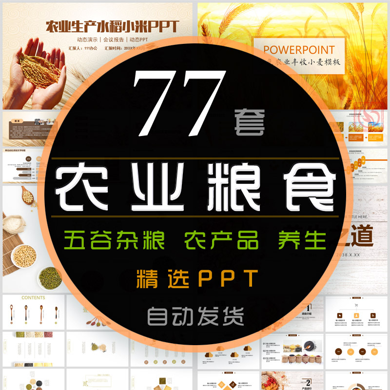 Grains and Cereals Agriculture Ppt Template: Growing Agricultural Products, Crops, Grains, Rice, Wheat, Corn, and Health Tips