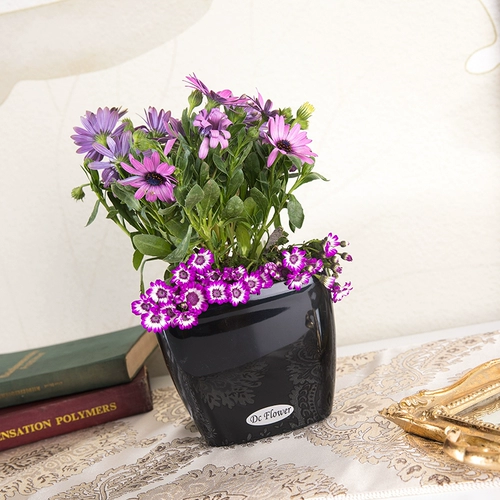 Lazy Automatic Water Absorption Flower Pot Автоматическое орошение цветочный горшок на гриле лакир для дома, бесплатная доставка зеленый укроп Специальный крытый пластик