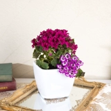 Lazy Automatic Water Absorption Flower Pot Автоматическое орошение цветочный горшок на гриле лакир для дома, бесплатная доставка зеленый укроп Специальный крытый пластик