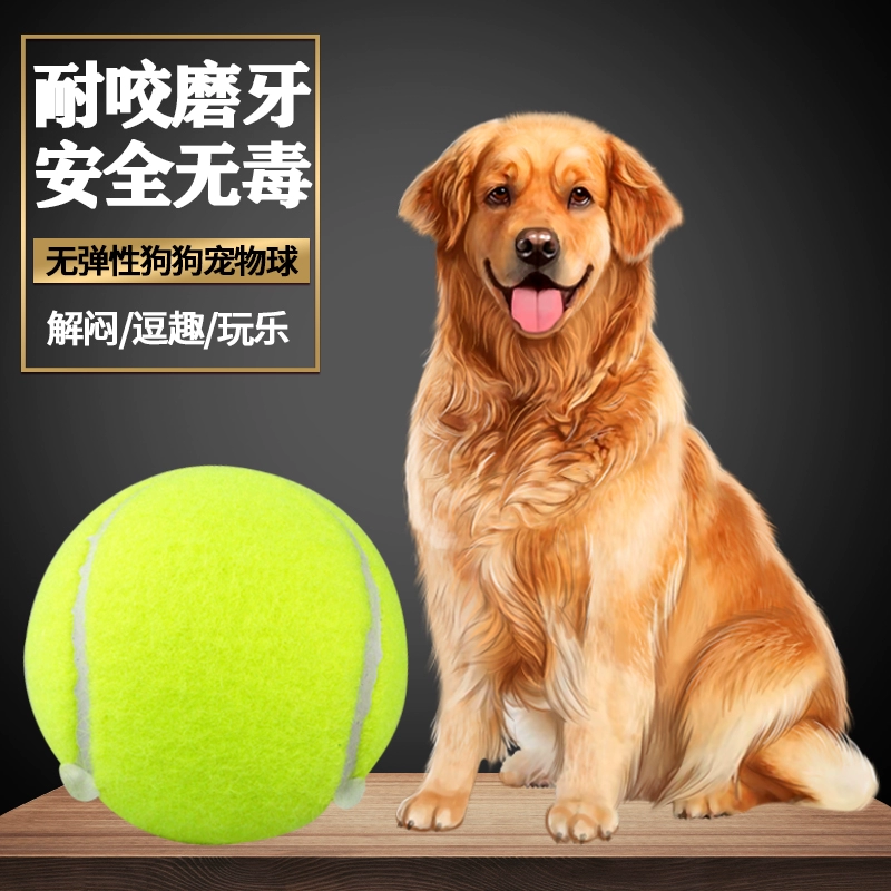 Toy Dog Ball Golden Retriever Teddy Puppy Ball Cắn Kháng cự đàn hồi Molar Tennis Con chó cưng Labrador Dog - Quần vợt