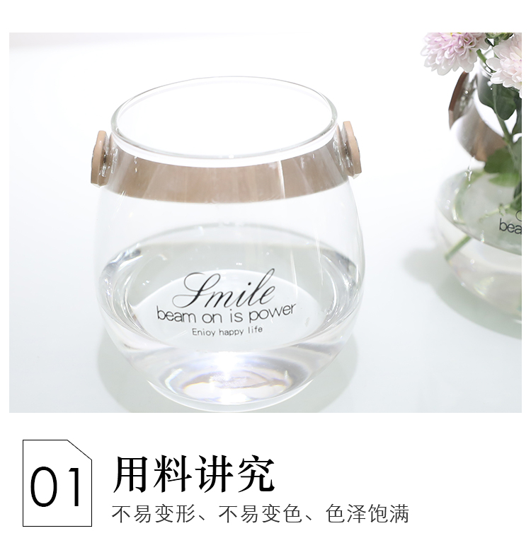 Giỏ hoa nấm thủy tinh châu Âu bình nhỏ vành đai tay cầm chậu hoa nhỏ hoa tươi trang trí hoa nghệ thuật - Vase / Bồn hoa & Kệ chậu nhựa dài trồng cây