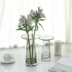 Bắc Âu tối giản bình thủy tinh gradient phòng khách chai hiện đại sáng tạo trang trí nhà Rose Daisy cắm hoa - Vase / Bồn hoa & Kệ chậu trồng mai Vase / Bồn hoa & Kệ