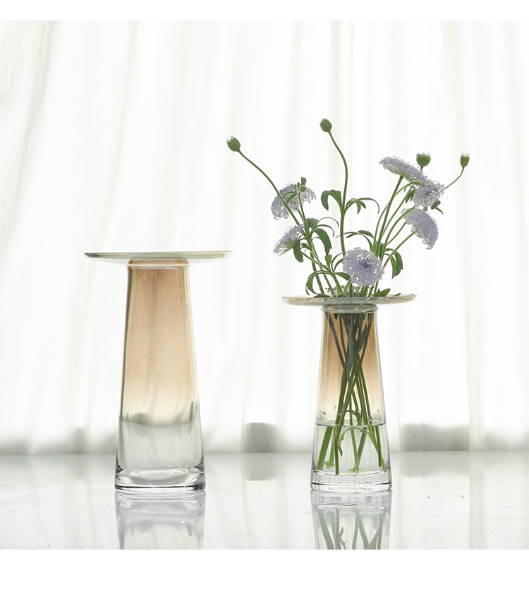 Bắc Âu tối giản bình thủy tinh gradient phòng khách chai hiện đại sáng tạo trang trí nhà Rose Daisy cắm hoa - Vase / Bồn hoa & Kệ chậu trồng mai
