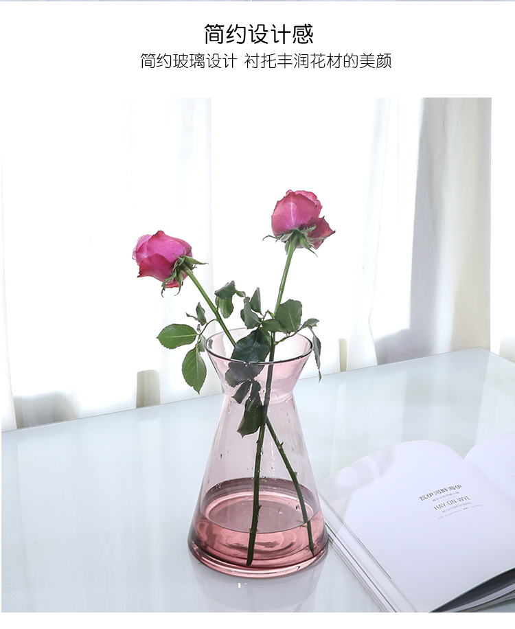 Bình thủy tinh đơn giản châu Âu dày trang trí nhà hoa hoa sáng tạo thiết bị mềm tươi và hiện đại - Vase / Bồn hoa & Kệ chậu sứ mini