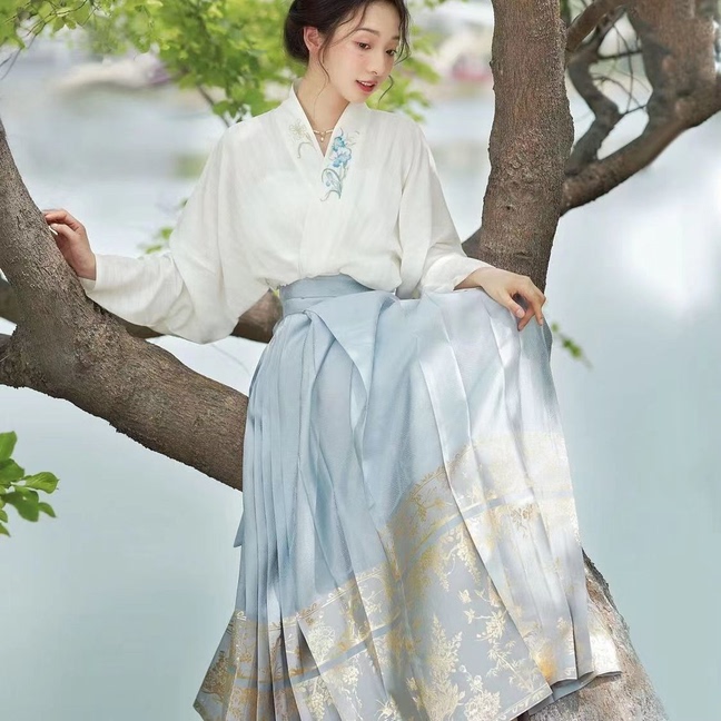 Ming Dynasty Han Dynasty for Female Adults [Manting Fang] Printed Horse Face Skirt, Daily Autumn and Winter Style, Student Costume Work Clothing