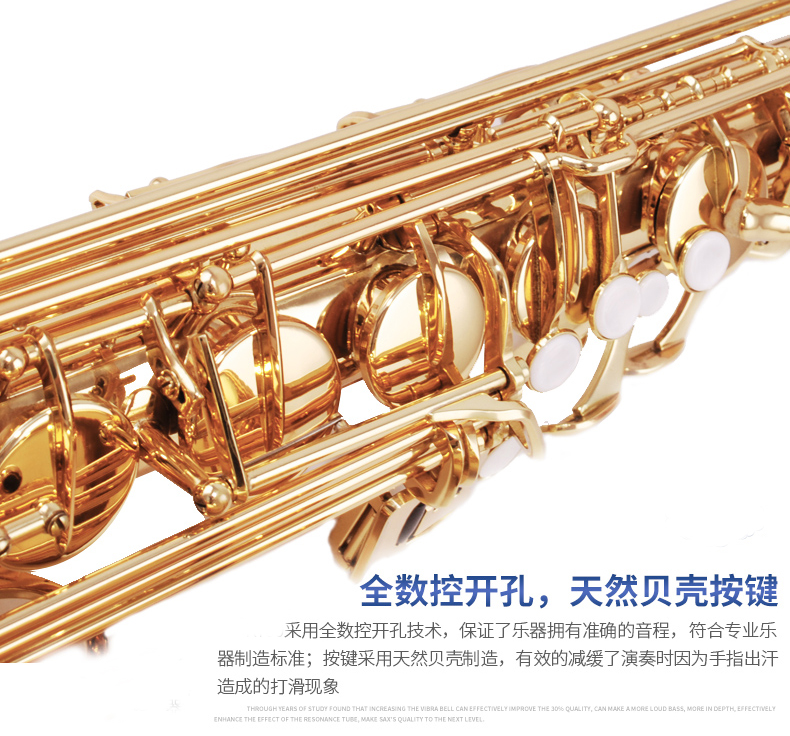 Pháp Selmer Salma Alto Saxophone Âm nhạc B-giai điệu / nhạc cụ gió tăng cường gấp đôi - Nhạc cụ phương Tây đàn guitar rosen g11