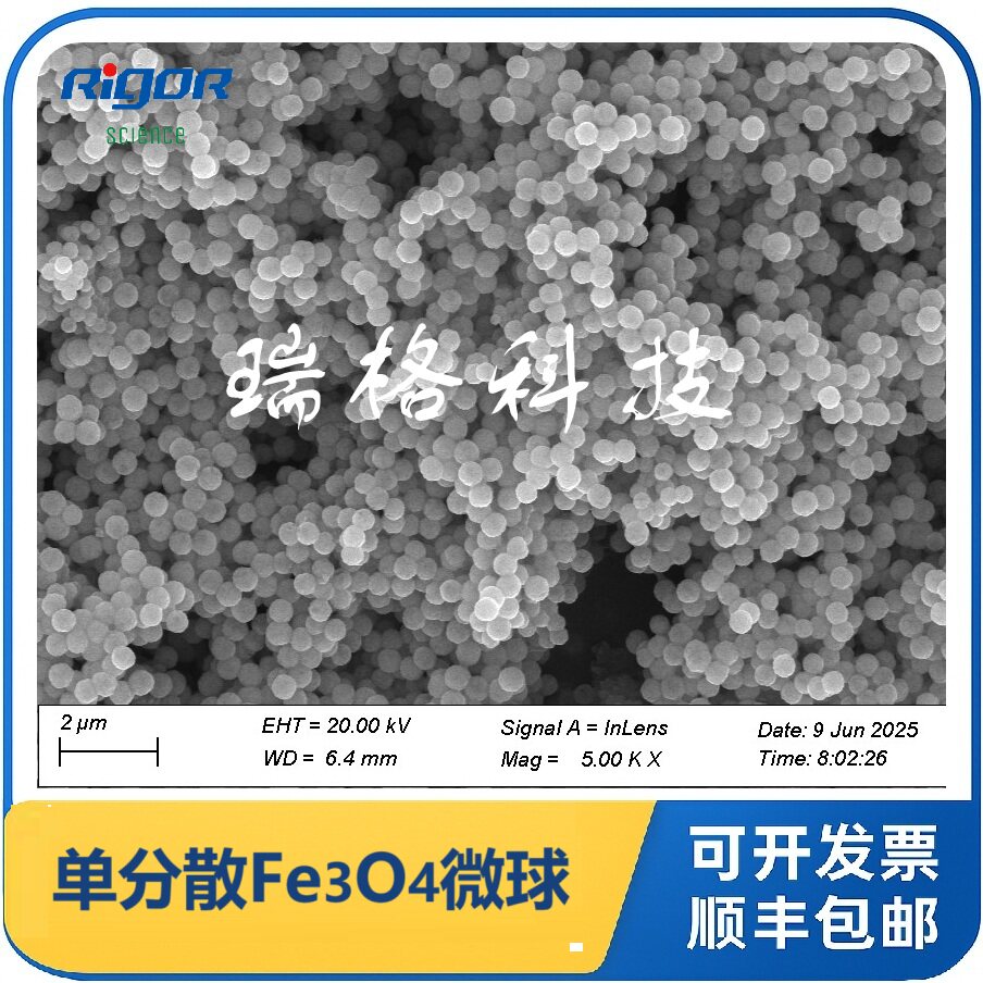 四氧化三铁磁性微球/Fe3O4/磁珠/核酸提取/偶联/Fe3O4/纳米微米