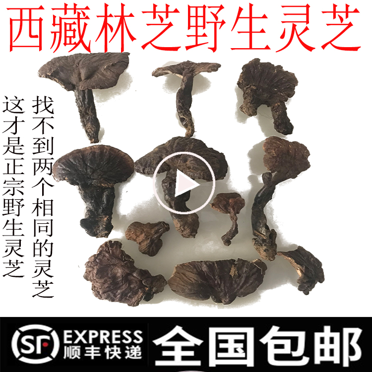 250g Tibet Nyingchi wild Ganoderma lucidum Red Ganoderma lucidum umbrella cover is open to taste fragrant soak water without bitterness