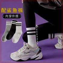 Xiaonan Market Socks Shark Pants Long Socks Womens Autumn Outerwear Striped College Style Pure Cotton Autumn and Winter Mid-Tube Socks