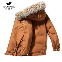 Fugui bird boy clothing boy down clothes new autumn and winter children down cotton clothes boy woolen collar ocean jacket