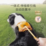 ДОБАВИНКА ТУГКА ВВОДА И Встроенная спина может отозвать ремешок для собачьего жилета из большого собачьего питомца собаки