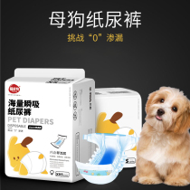 Pooch Physiology Pants Mother Dog Special Paper Diaper Teddy Urine not wet Aunt Menstrual Pants Sanitary Napkins Pet Safety Pants