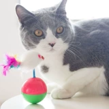 Игрушка, модная неваляшка, кот, домашний питомец