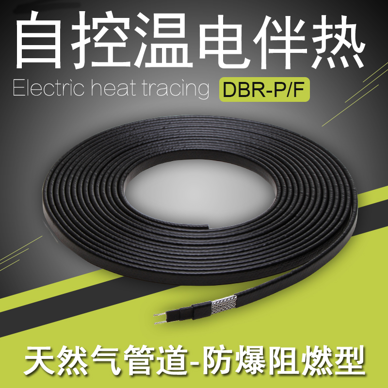 Gas pipeline explosion-proof DBR-P F type electric companion tropical low temperature self-limiting temperature shielding electrotropical