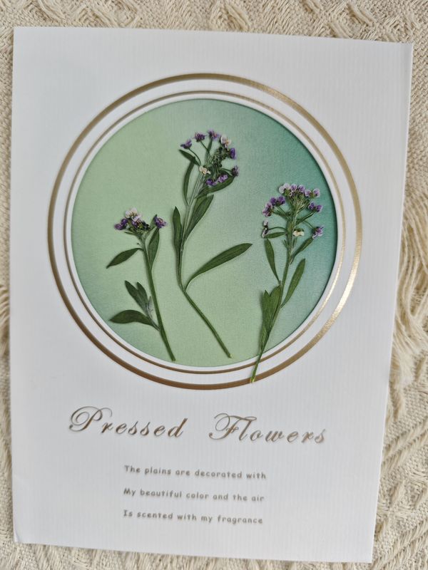 Fragrant Snowball Fresh Green Plant Series Dried Flower Pressed Flower Photo Frame Table Decoration DIY Materials